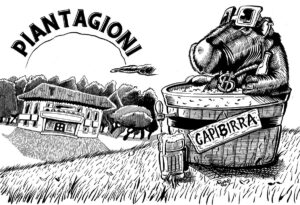 SplashPage Piantagioni - fumetto di Radio Popolare, illustrazione di Andrea FranZosi franZroom.net